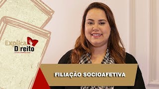 Explica Direito Filiação Socioafetiva  2019 [upl. by Ajnot]