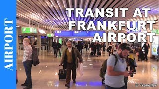 TRANSIT WALK AT FRANKFURT Airport FRA Terminal 1  Connection Flight Transfer Arriving amp Departing [upl. by Dickerson560]